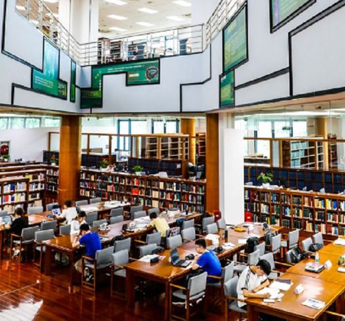 复旦大学 图书馆打卡 排行,第一名每年去1424次,学渣直言打扰