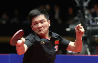 兵乓球亚洲杯,兵乓球亚洲杯：亚洲最强者的巅峰对决