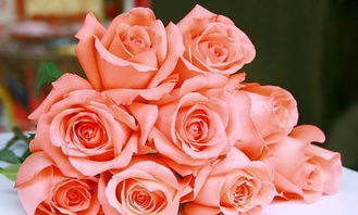 粉色玫瑰花语,粉色玫瑰是什么寓意？