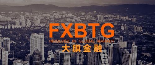 想找个风险低的公司，FXBTG大旗金融怎么样?