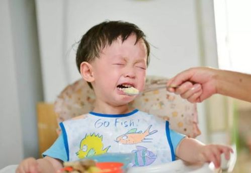 宝宝何时可以吃 大人饭 2岁不是唯一标准,要考虑诸多条件