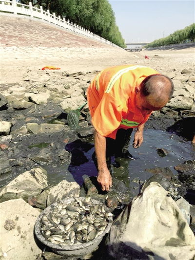 郑州东风渠断流市民捞鱼欢 脏水鱼含重金属最好别吃 