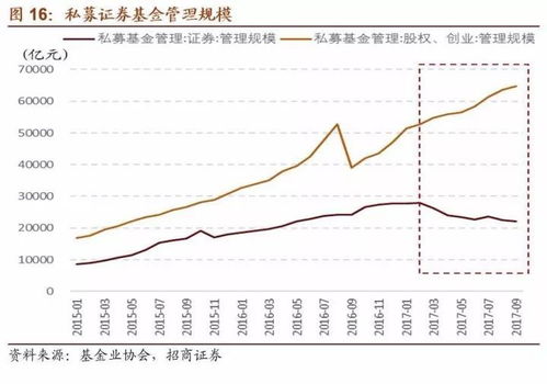 王薇投资在了A股中的哪些公司？