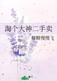 淘个大神二手卖 糖糖慢慢飞 晋江文学城 