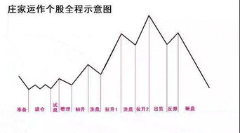 不同类型庄家操盘都有什么特点