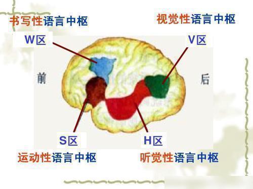 三种方法解决吐字不清问题(如何解决吐字不清)