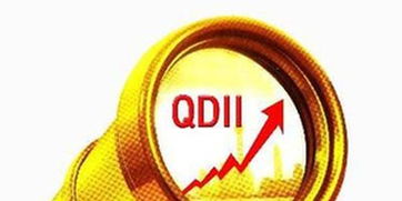 QDII基金年内收益最高超90%,港股qdii基金