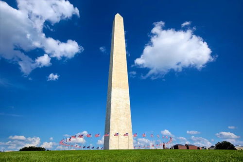胡乱作妖 华盛顿地标建筑 华盛顿纪念碑 杰佛逊纪念堂等将被搬走