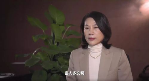 风声 提高个税起征点 ,董明珠建议让富人承担更多社会责任 