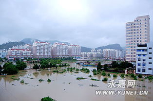 组图 10日 永嘉县城上塘镇成泽国 