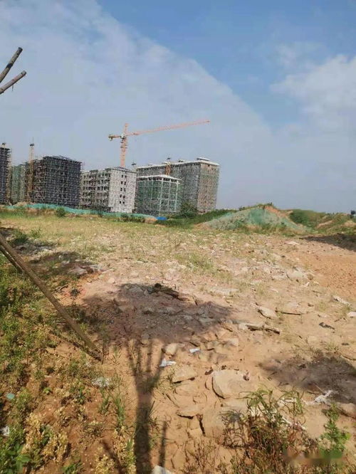 高安城区4宗土地将拍卖 用于建住宅小区