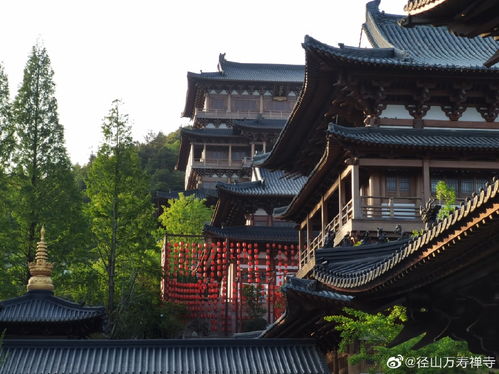 禅茶祖庭 径山万寿禅寺 