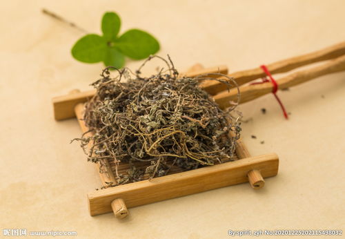 鹅不食草图片,鹅不食草图片？