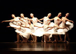 北京舞蹈学校官网,北京舞蹈学校官网。