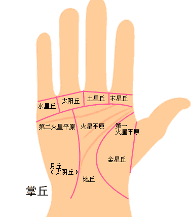 什么样的手相最存不住钱 