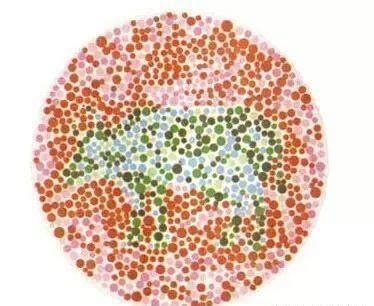 五张色盲测试图,第五张图你能看出什么东西吗