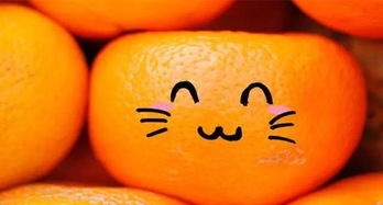 上海柏橙子艺术包装有限公司怎么样(上海进口橙子报关通关公司)