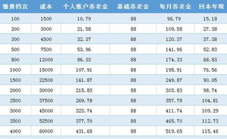 60岁养老保险费补缴,超过60岁还能补缴社保吗