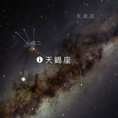 端午节是怎么来的 这事儿可能要从星空说起