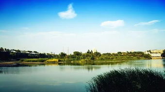 探秘郑州黄河湿地公园：大自然与城市的完美融合，诗意栖息的天堂！