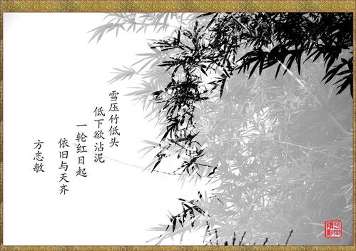 关于竹子的古诗诗句