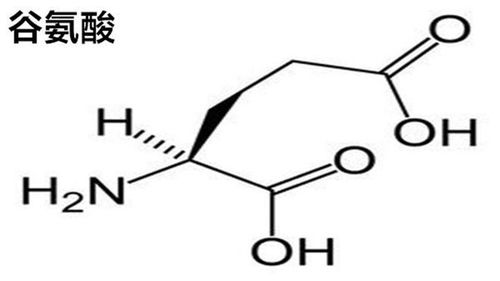 什么是焦谷氨酸-第4张图片