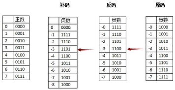 -1D的原码，反码，补码。。 还有这个D是什么意思~~