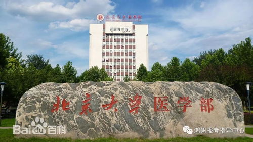 北京大学医学院招生简章2021