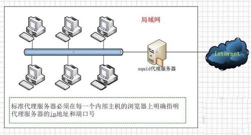 外网浏览入口,网络浏览工具 外网浏览入口,网络浏览工具 快讯