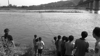 三江都市报数字报 背着父母偷偷下河游泳夹江4少年被困河滩 
