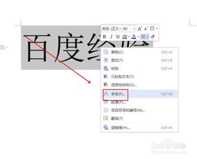 如何使用wps文字制作空心字体