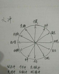 八字 六冲 的病症表现是什么样的