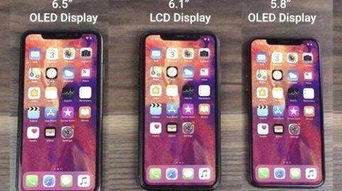 最终确定 IOS 12稳定版9月18开启适配 这10款苹果手机迎来新生