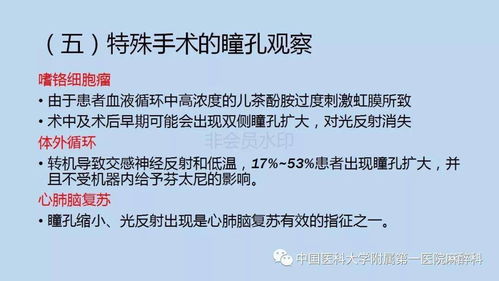 知网查重变化背后的原因与影响