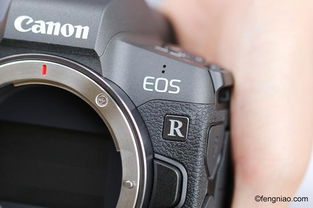 eos r, EOS R相机的介绍