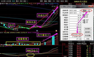 男朋友要替我操作股票是什么意思?