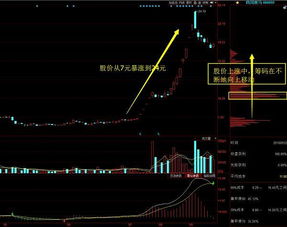 s川双马，有没有知道实情的说一下，什么时候复盘阿？谢谢！