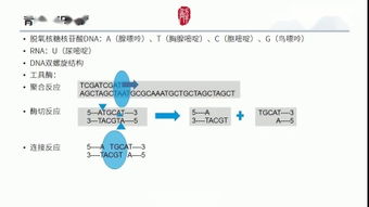 生物信息学 – 