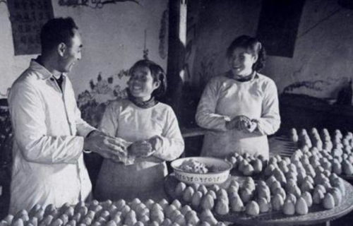 从苏联的集体农庄到中国的人民公社,为何农村集体化无法成功