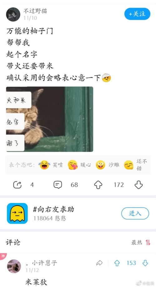 想看点阳间名字求你了 评论真的笑yue了