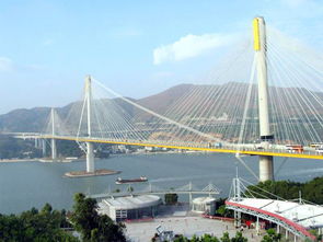 世界最长的斜拉索桥,世界之最：最长斜拉索桥——长江大桥的壮丽传奇