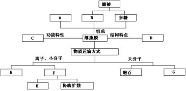 大洋洲的知识框架