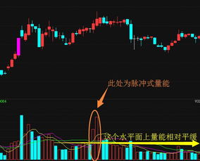 慢牛股与成长股的区别