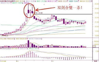 个股每天的实时股价是根据什么换算来的