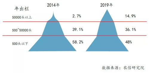  link币2020年前景如何分析,2020年区块链的发展趋势是怎样的？ USDT行情