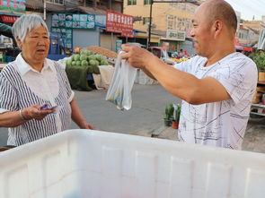 在乡下销售种子怎么才能卖的好(在乡下销售种子怎么才能卖的好些)