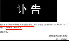 優速快遞總裁身亡(優速快遞董事長夫婦身亡，死因眾說紛紜，公司未來靠什么走下去？)