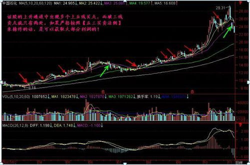 跟着主力操作买入卖出稳赚吗?看见主力大单买入卖出的时候是不是跟看他就行还是相反？