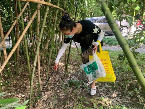 从曾经蚊子 满天飞 到如今不多见,这个小区是怎么做到的