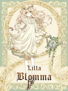 lilla blomma是什么 